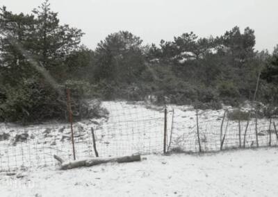 [FOTO i VIDEO] Danas snijeg u Bolu i na Braču