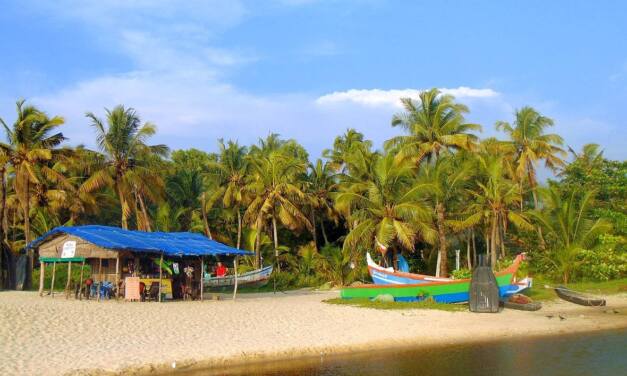 Mali indijski putopisi (2) – Kerala: zeleni raj toplih oceanskih valova i riječnih rukavaca “Venecije istoka”