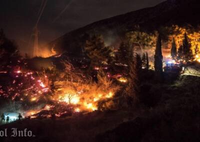 Cijelu noć vatrogasci gasili požar između Bola i Murvice