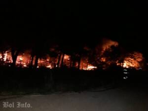 Cijelu noć vatrogasci gasili požar između Bola i Murvice