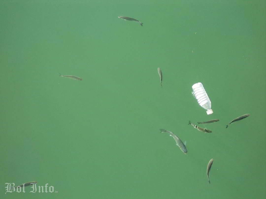 Sedam od deset riba u Jadranu u sebi ima plastiku