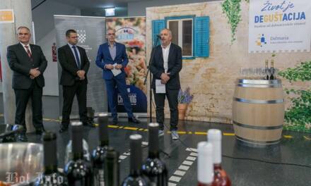 Direktor “Stina vina” o budućnosti vinarstva u Dalmaciji