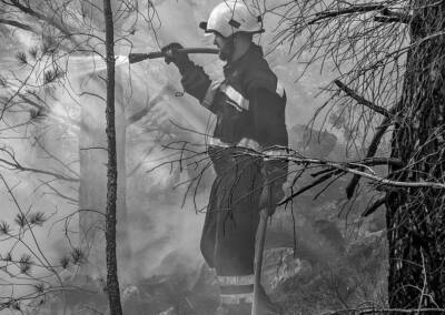 Galerija fotografija i video gašenja požara zračnim snagama 23.2.2020.