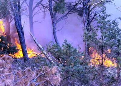 Veliki požar kod Milne i dalje traje